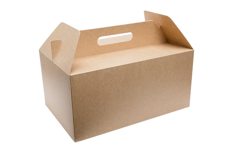 ecodu-food-packaging-eco-compostabile-contenitore combo box xl 1