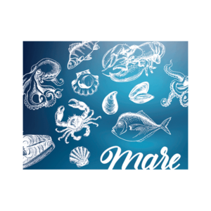 Coperchio grafica standard PE1703S 23×18x3cm (450pz) - immagine 5